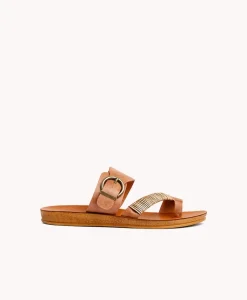 Allegro slide|Isabella Anselmi Best