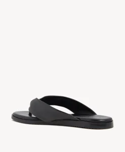 Clover Jandal|Isabella Anselmi New
