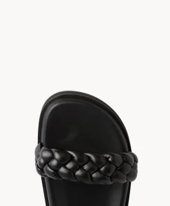 Coco slide|Isabella Anselmi Hot