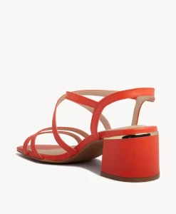 Doris Strappy Sandal|Isabella Anselmi Hot