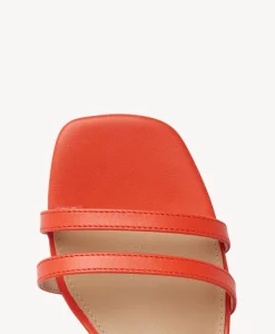 Doris Strappy Sandal|Isabella Anselmi Hot