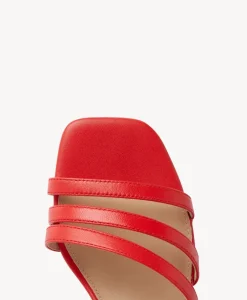Dorothy Strappy Heel|Isabella Anselmi New