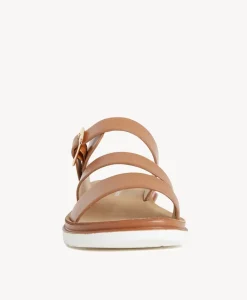 Lorna Slide|Isabella Anselmi Online