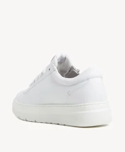 Marci Sneaker|Deuce x Bloom Fashion