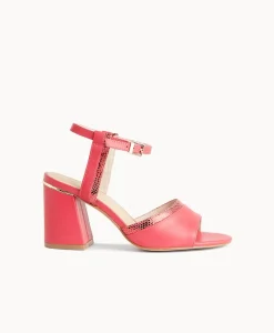Scarlet Dress Sandal|Isabella Anselmi Hot