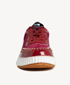 Steph Sneaker|D48 New