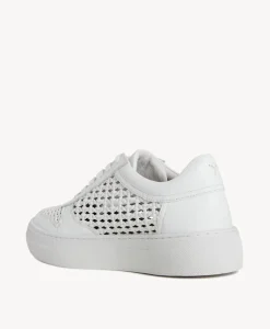 Vegas Sneaker|Deuce x Bloom Sale